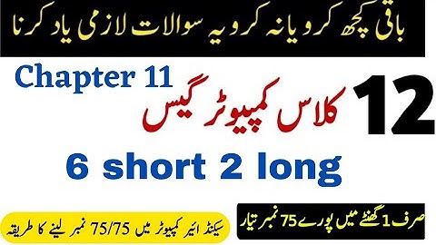 12th class computer chp 11 most important important Short & long Questions guess 2023