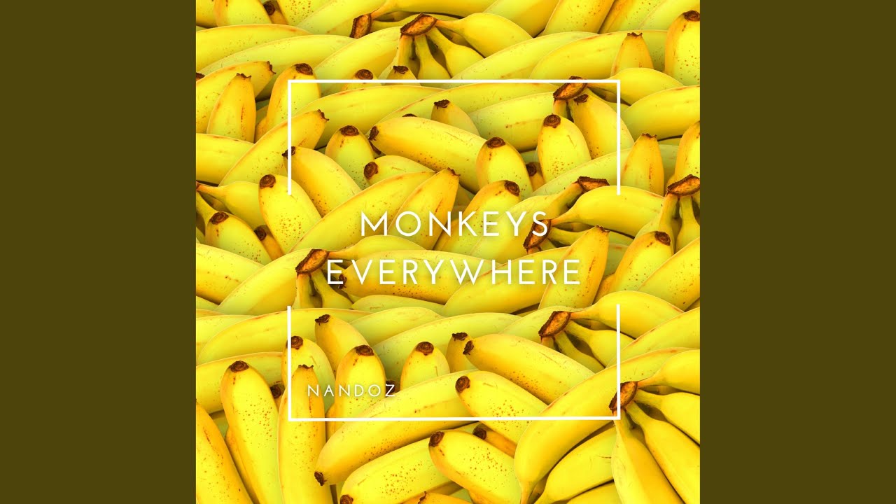 Watch Monkeys Everywhere on YouTube Watch Monkeys Everywhere on YouTube