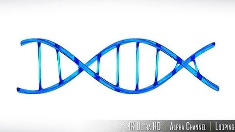 4K DNA Double Helix Strand Loop | Motion Graphics - Videohive template