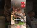 🔥😱 Big 4 Kg Rui Fish Cutting Video #shorts