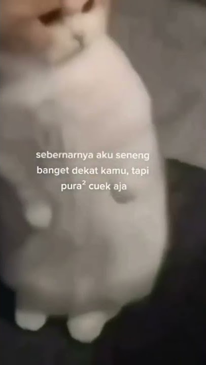 STORY WA 30 DETIK TERBARU || PURA PURA CUEK AJA:)