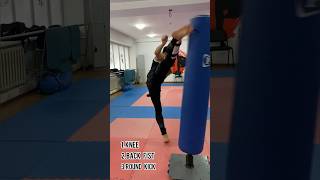 Interesting Combo 🥋 #Kickboxing #Mma #Karate #Lesson #Fighter