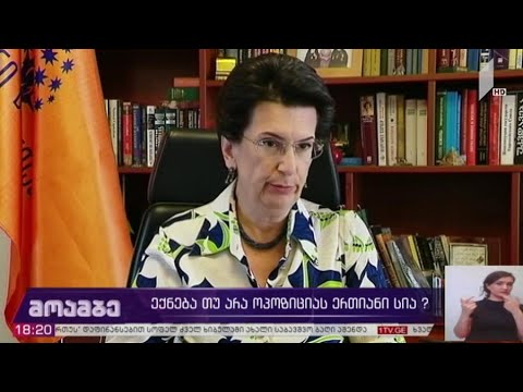 მიხეილ სააკაშვილის შეთავაზება ოპოზიციას - შეფასებები