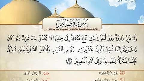 ما تيسر من سورة فاطر