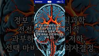 🧠 뇌톡스 (BrainTax) | 빅데이터가 뇌에 미치는 정보 과부하 #뇌톡스 #가치관 #도파민 #명언 #뇌 #동기부여  #지식 #챔피언스리그 #뇌과학 #mbti