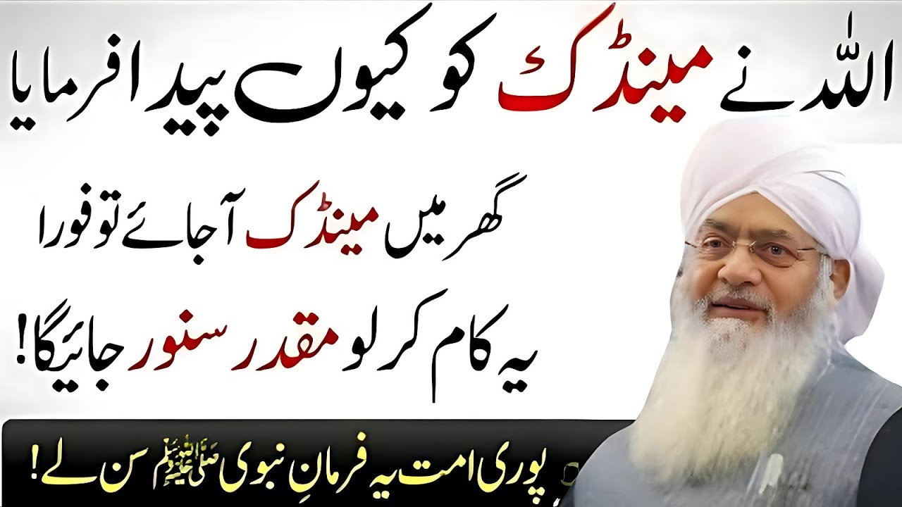 Allah Ne Mendak Kyun Paida Kiya? | Har Ghar Wale Ke Liye Anokha Raaz | Peer Zulfiqar