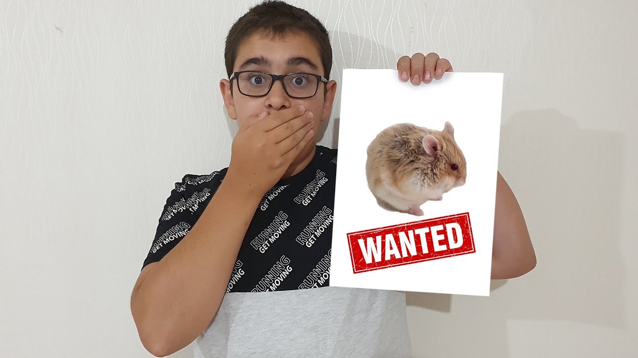 Hamster Kayboldu. Lost Hamster Fun Kids Video