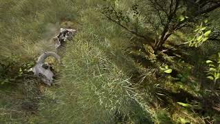Unreal Engine 5 Forest Path Environment | Cinematic Showcase