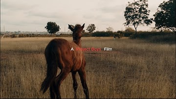 PROJECT BOYS CYPHER EPISODE 3 ft Wsh,Milona, Kojo Trap & Konney(OFFICIAL VIDEO)