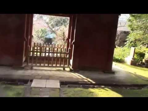 日蓮ゆかりの鎌倉古寺・妙法寺ー苔むした石段の上から仁王堂を見下ろす、帰途、支那実桜を眺める⑥ - YouTube