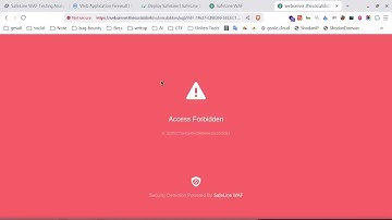 Hacker probeerde mijn site te vernietigen... Toen roosterde deze GRATIS WAF hem levend!