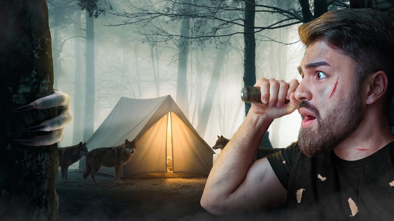 24 საათი გავჩერდი დაწყევლილ ტურებით სავსე ტყეში!