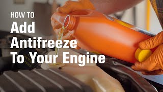 How to Add Antifreeze To Your Engine