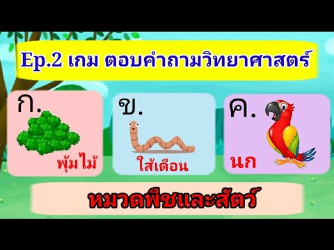 Ep.2 เกม ตอบปัญหาวิทยาศาสตร์ หมวดพืชและสัตว์ | เกมสร้างสรรค์สำหรับเด็กและเยวาชน WAWA kids art