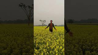 Tujhe Dekha Toye Jaana Sanam 🥰🥰🫰🤔 #shortsviral #trending #newreels