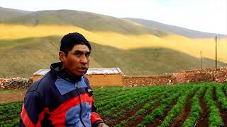 Semillas nativas y criollas en Aparzo