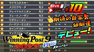 《#10》あなたの、そして私の夢が走りだす…Part②【ウイニングポスト9 2022】『自称！競馬知識だけ豊富な配信者によるスロープレイ配信』(PS4/LIVE配信)【りょーちチャンネル】