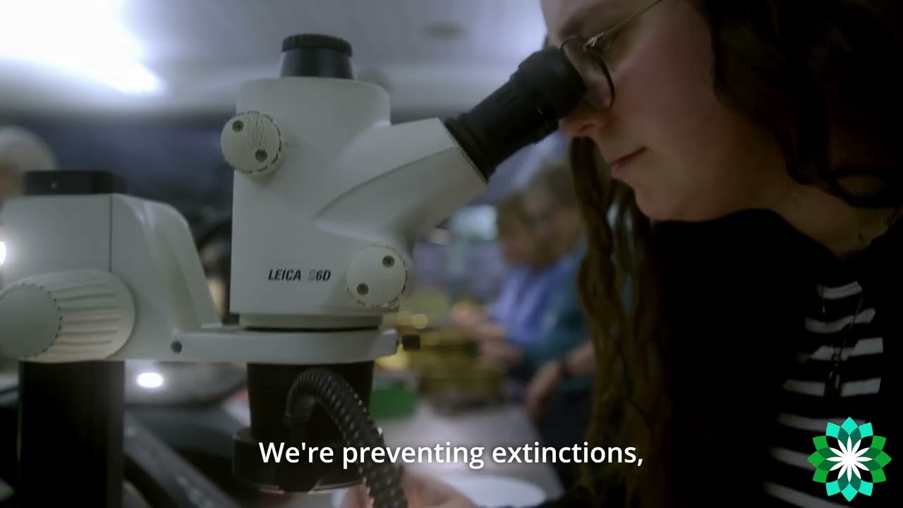 negaunee institute grows v5