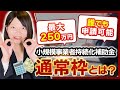 【小規模事業者持続化補助金】誰でも使える2025年度版の【通常枠】とは?