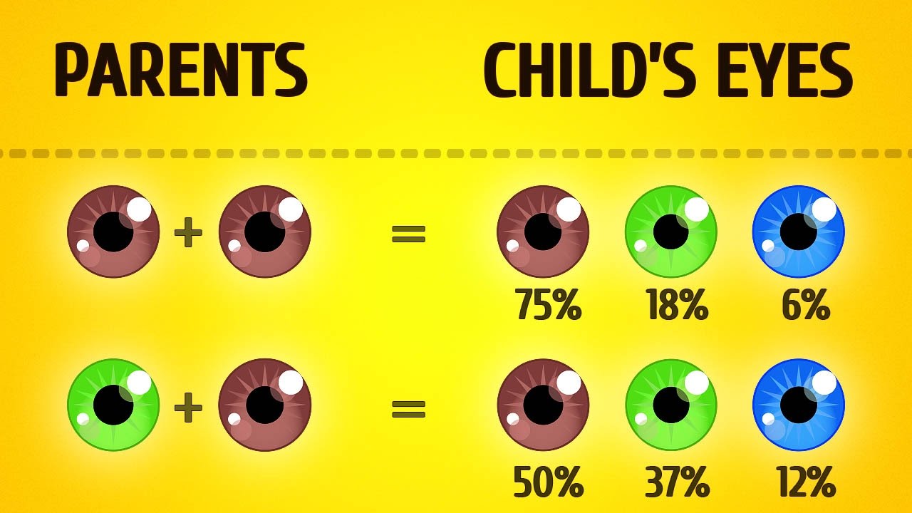 Here's What Your Baby Will Look Like - YouTube