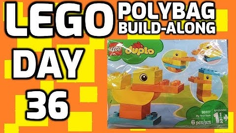 Lego (Duplo) Polybag Build-along Day 36 - My First Duck (30327) Assembly and Review