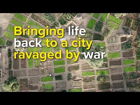 Mali: Bringing life back to a city ravaged by war