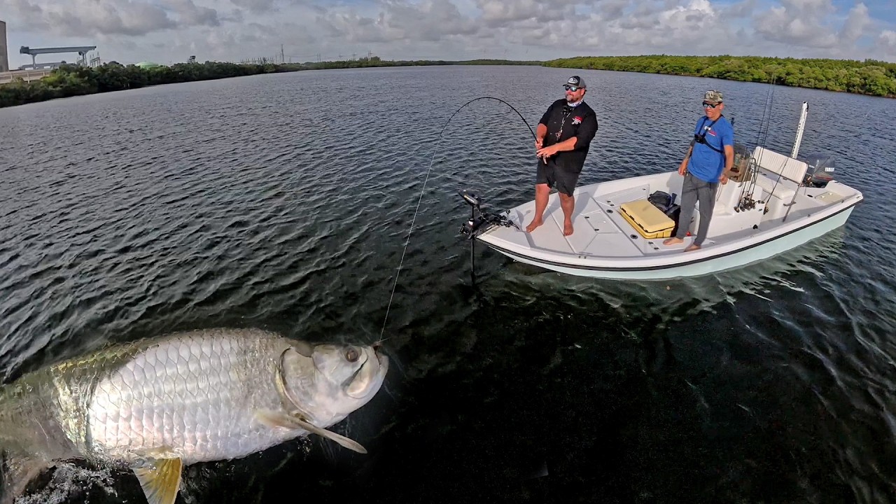 Catching BIG Tarpon!!!