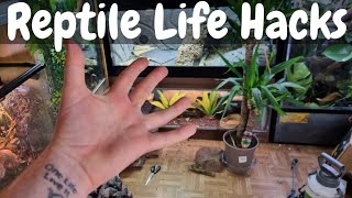 Top 5 Fun Reptile Life Hacks by NORTHERN EXOTICS 6,690 views 2 years ago 8 minutes, 32 seconds