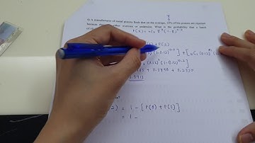 Question 4(b) - Binomial Probability Distribution