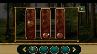 Escape Game The Survivor WalkThrough - FirstEscapeGames screenshot 1