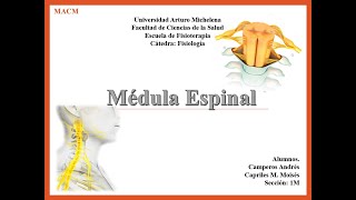 Medula Espinal 1 - Seminario III Fisiología
