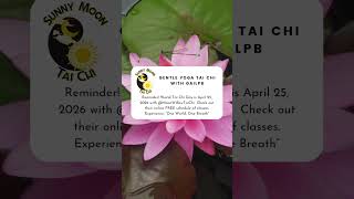 World Tai Chi Day 2026 with @MoonWillowTaiChi.  One World.  One Breath. #shorts #taichishorts