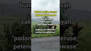wolak walik'e donyo