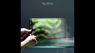 How to make a living parametric moss wall terrarium with fog, The Oracle by TerraLiving