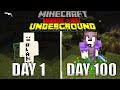 I survived 100 days in a cave in minecraft hardcore mode and heres what happened