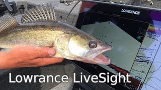 Lowrance Livesight Pelagisch Auf Zander