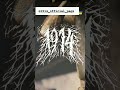 #1914 #band #blackmetalpromotion #blackmetal #ua
