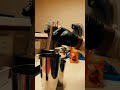 cinematic short🍸 shot on iphone 14#cinematicvideo #cinematography #iphone14 #shorts