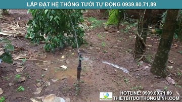 Mua bán đầu tưới cánh đập phun nước tưới rau, bãi cỏ phun mưa điều chỉnh góc