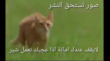 الله يبدأ الخلق ثم يعيده ثم إلبه ترجعون | القارئ عبدالله الموسى