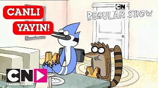 OFF AIR LIVE: Sürekli Dizi ile 2 saatlik macera! | Cartoon Network Türkiye
