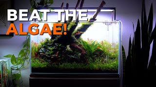 BEAT AQUARIUM ALGAE by Optimizing Flow and Circulation