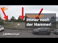 Was aus alten Hammer-Fällen wurde - Hammer der Woche vom 11.01.2020 | ZDF