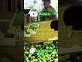 Reel Capitulo 2 en Planadas en Tolima - Café Orgánica