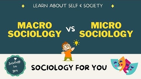 Macro Vs Micro Sociology | What