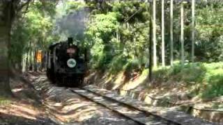 CK124 蒸汽火車 ~ 2009 奇幻旅程