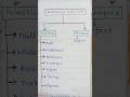 Classification of JavaScript Data Types l JavaScript Data Types Examples #shorts #javascript #js