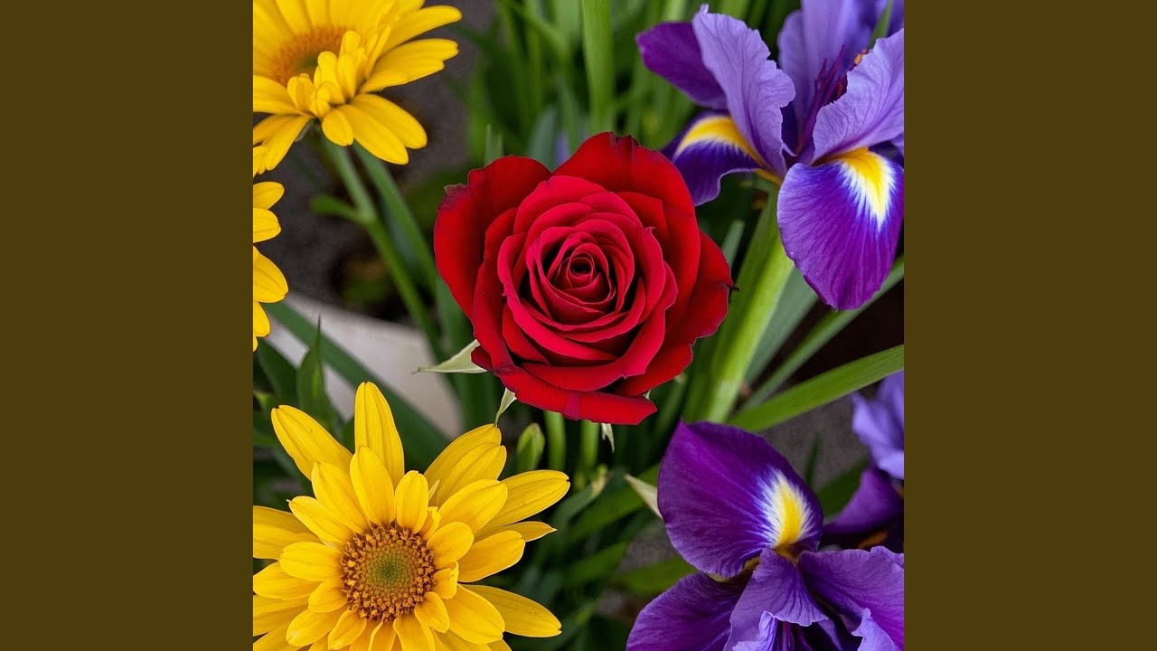 The Man Who Is Always the Exception, To Being Chosen