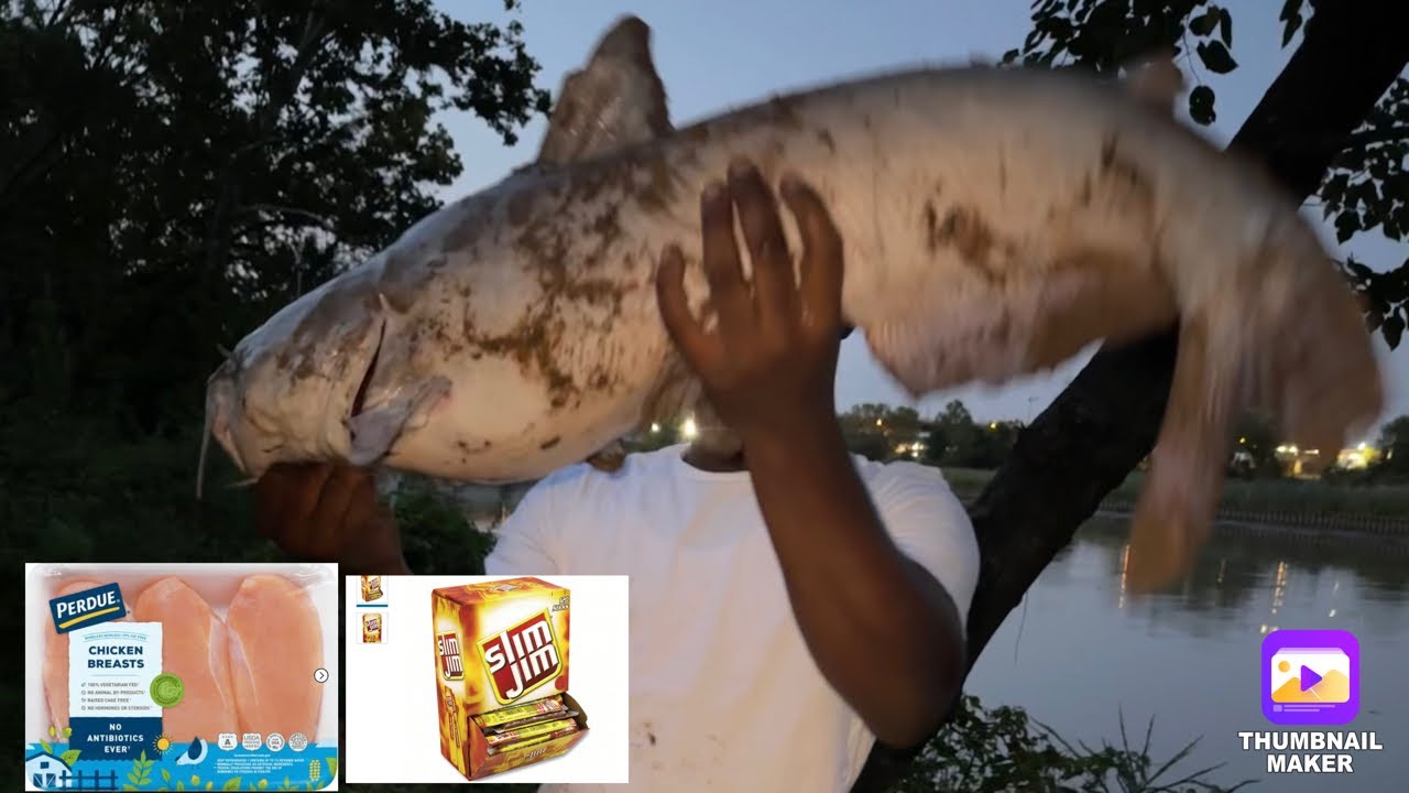 Fishing with chicken breast & slim Jim’s & selling giant catfish YouTube