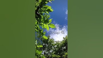 سورة الأعراف القارئ سعد الغامدي🤍#القرآن_الكريم#سورة_الأعراف#سعد_الغامدي